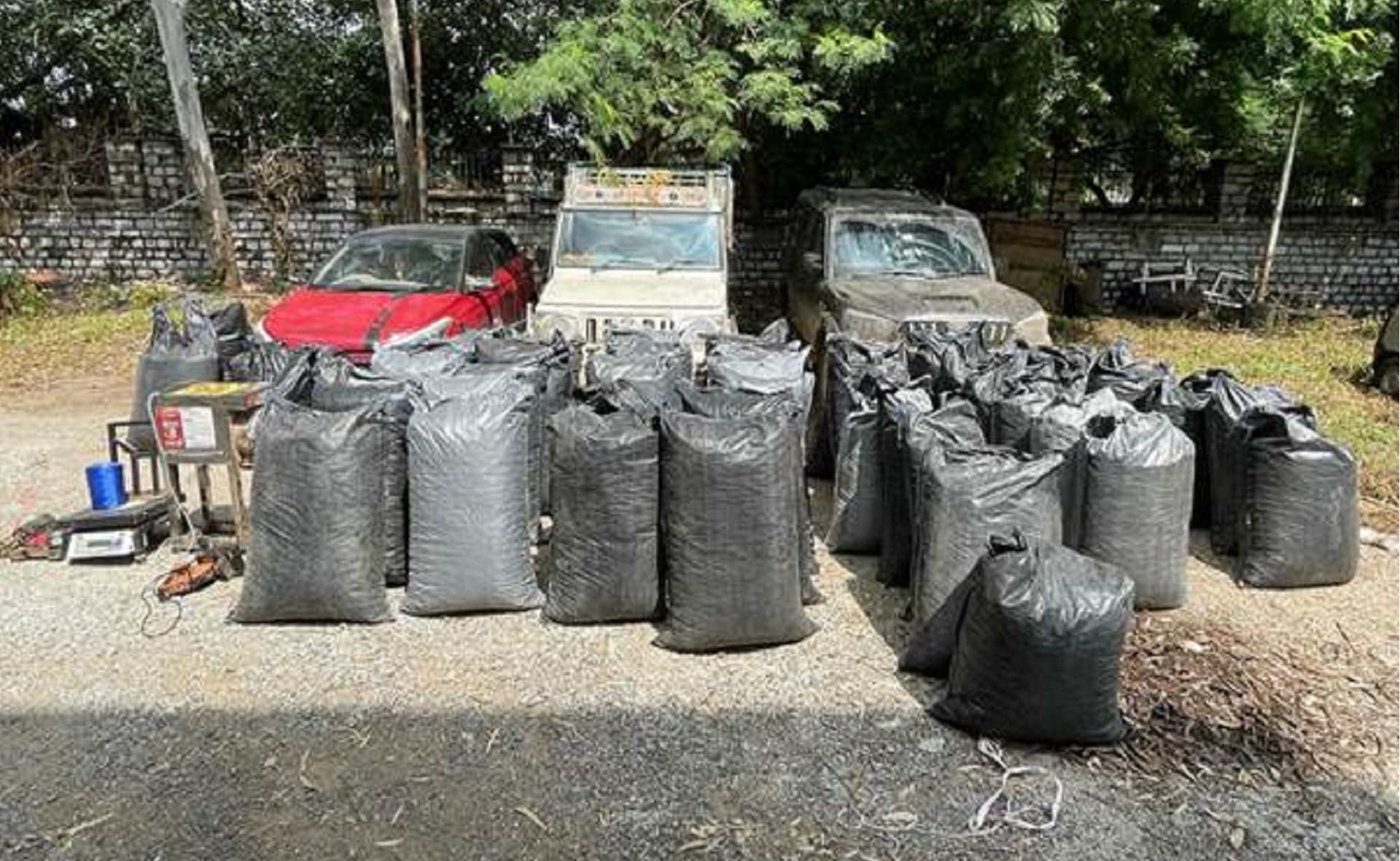 Picture of Seizure with Team