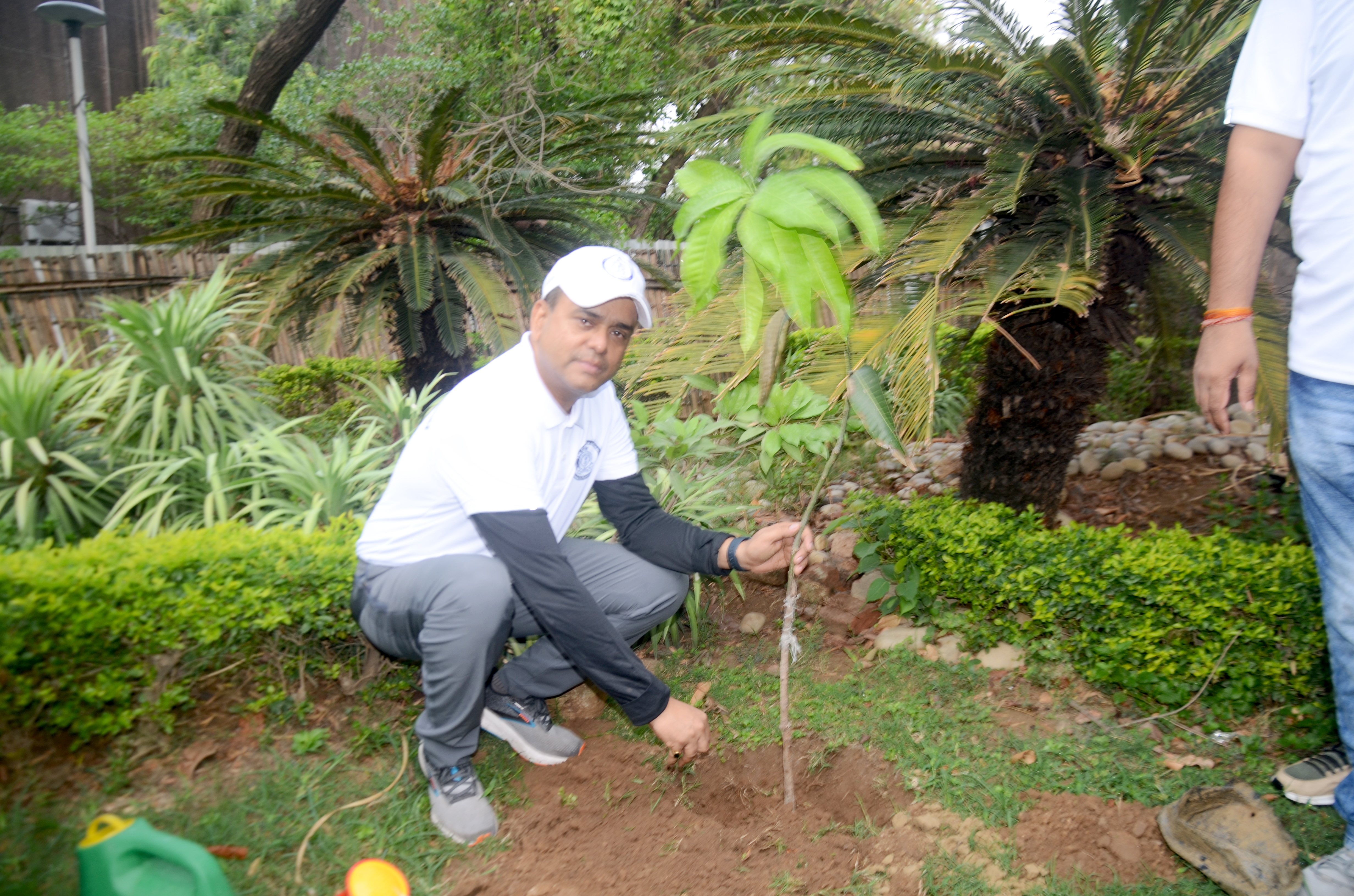 Plantation Drive